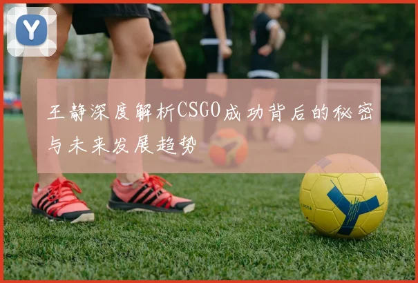 王静深度解析CSGO成功背后的秘密与未来发展趋势