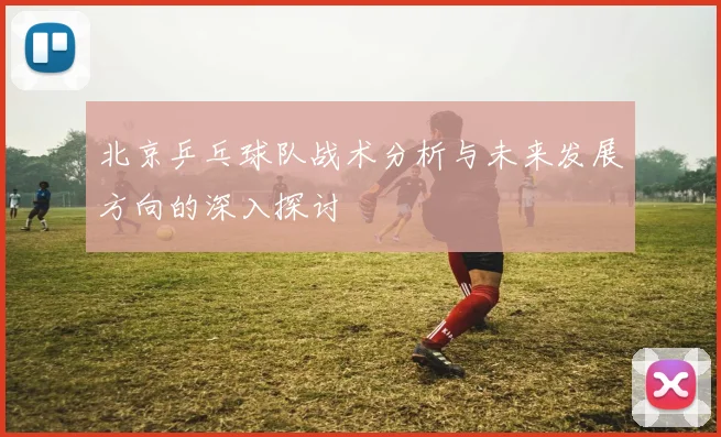北京乒乓球队战术分析与未来发展方向的深入探讨